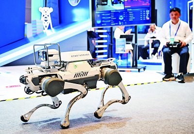  網(wǎng)絡安全博覽會上的企業(yè)展示電網(wǎng)巡線機器狗。新華社記者 鄧華攝