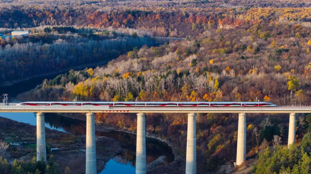 沈白高鐵正式開(kāi)通運(yùn)營(yíng)。受訪方供圖